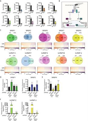 Global Transcriptomics Uncovers Distinct Contributions From Splicing Regulatory Proteins to the Macrophage Innate Immune Response